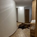 Foto 23.09.25, 13 02 42 Large