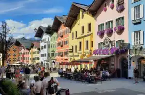 Belle Kitz Pure – Image 3