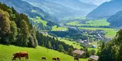 Unterhalb hoher Alpen breiten sich grüne Weiden, Kühe und ein kleines Bergdorf im sonnigen Tal vor steilen, bewaldeten Hängen aus.